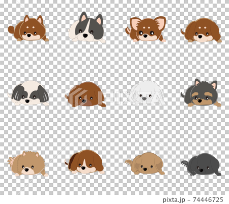 犬 12犬種 休憩のイラスト素材