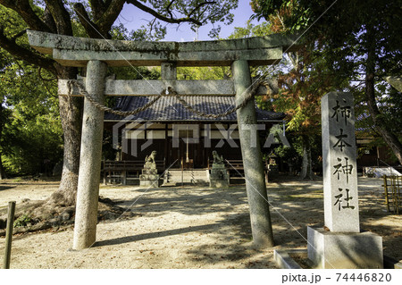 柿本神社　社殿と鳥居　奈良県葛城市 74446820