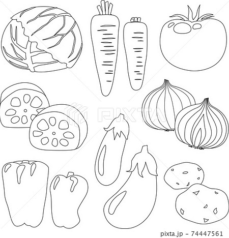 シンプルな野菜の線画のイラストのイラスト素材