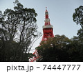 東京タワー　2020年　11月 74447777