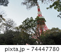 東京タワー　2020年　11月 74447780