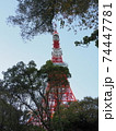 東京タワー　2020年　11月 74447781