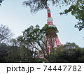 東京タワー　2020年　11月 74447782