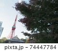 東京タワー　2020年　11月 74447784
