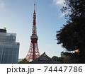 東京タワー　2020年　11月 74447786