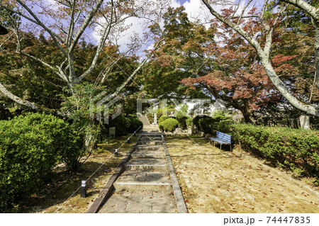 九品寺　参道　奈良県御所市 74447835
