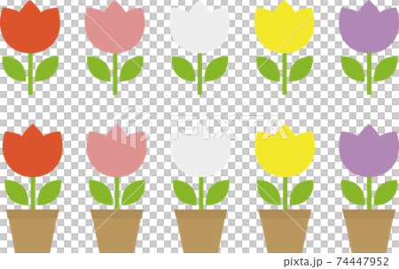 A set of simple and cute tulips 74447952
