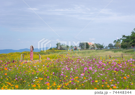 Beautiful woman in nature flower. Beautiful woman in nature flower. 74448344