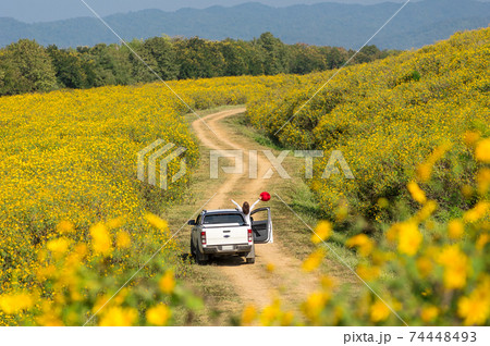Beautiful woman in nature flower. Beautiful woman in nature flower. 74448493