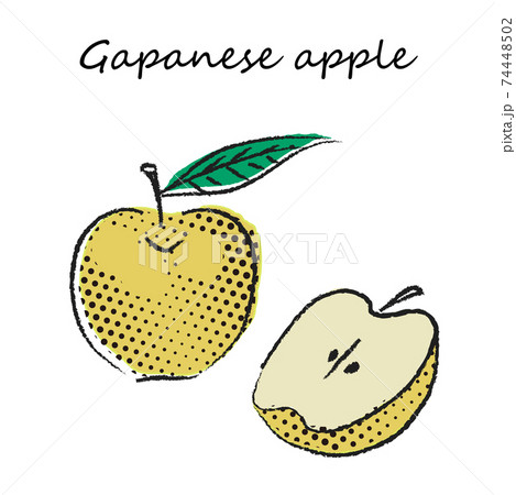 フルーツののイラスト 梨のイラスト素材