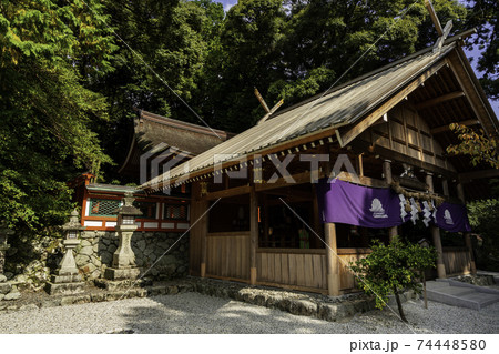 高鴨神社　拝殿と本殿　奈良県御所市 74448580
