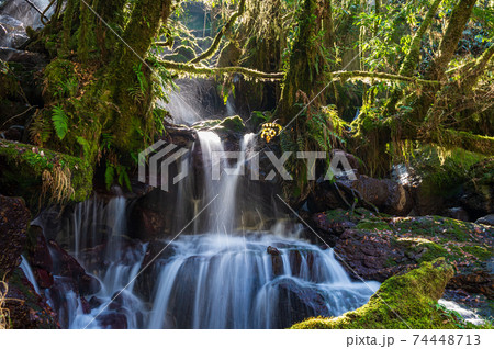 冬の清流菊池渓谷に流れ落ちる滝の風景 74448713