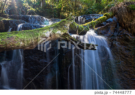冬の清流菊池渓谷に流れ落ちる滝の風景 74448777