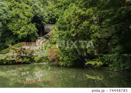 高鴨神社　本殿　奈良県御所市 74448785