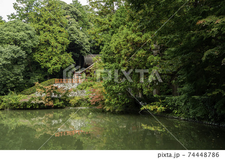 高鴨神社 本殿 奈良県御所市 高鴨神社 本殿 奈良県御所市 74448786