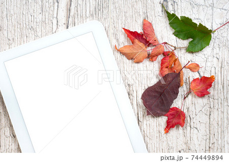 digital tablet white empty screen with colorful autumn leaves on 74449894