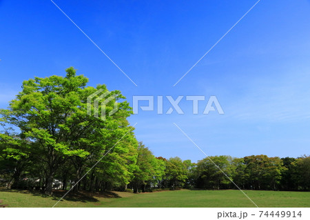 青空の下　新緑が映える 74449914