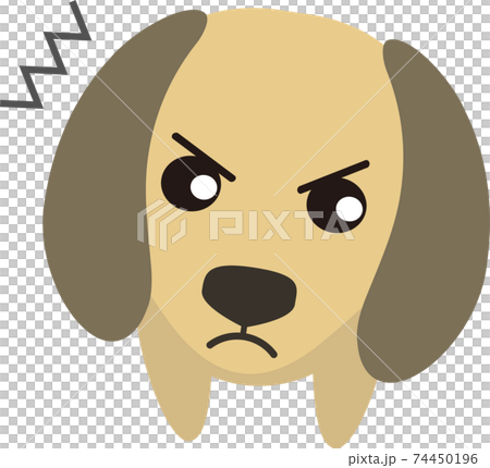 怒る可愛いミニチュアダックスフンドのイラスト素材