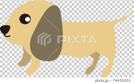 可愛いミニチュアダックスフンド 横 のイラスト素材