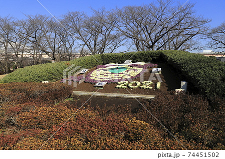 葛飾区立小菅西公園 花時計 葛飾区立小菅西公園 花時計 74451502