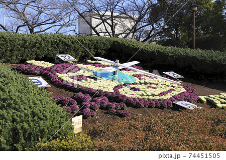 葛飾区立小菅西公園 花時計 葛飾区立小菅西公園 花時計 74451505