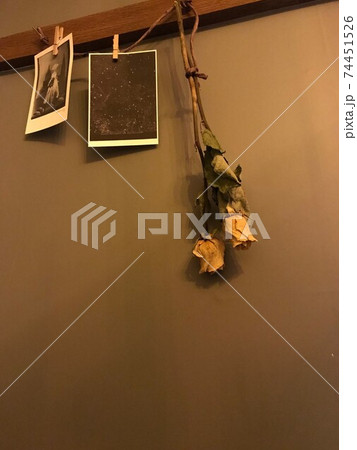 ポストカードとドライフラワー ポストカードとドライフラワー 74451526