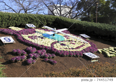 葛飾区立小菅西公園 花時計  葛飾区立小菅西公園 花時計  74451749