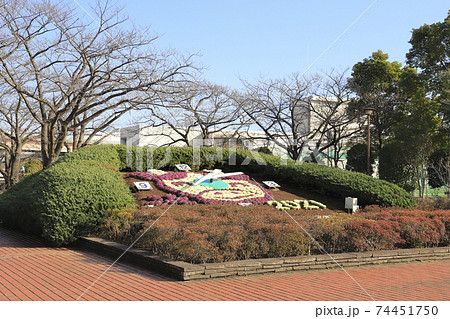葛飾区立小菅西公園　花時計　 74451750