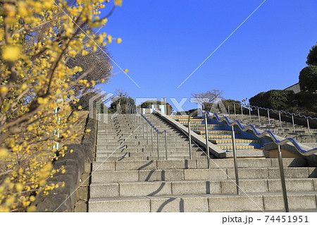 区立小菅西公園 東京都葛飾区小菅 区立小菅西公園 東京都葛飾区小菅 74451951