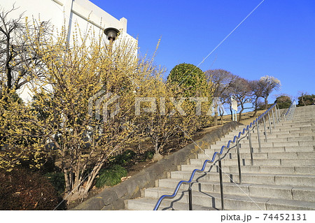葛飾区立小菅西公園 東京都葛飾区小菅 葛飾区立小菅西公園 東京都葛飾区小菅 74452131