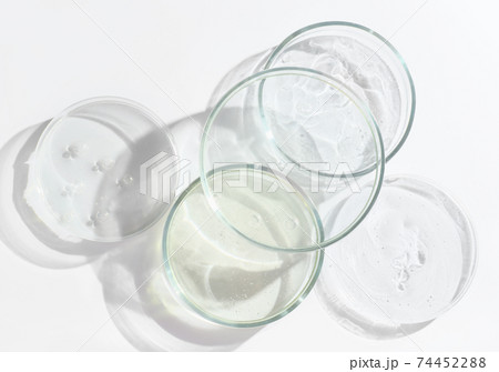 glass Petri dishes on a laboratory table.  74452288