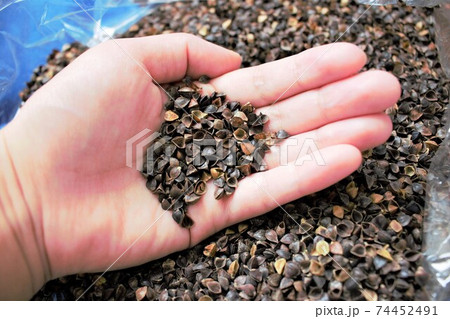 蕎麦殻を持つ女性の手 74452491