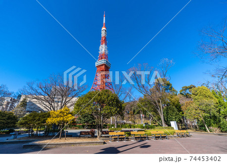 日本の東京都市景観 青空に映える東京タワーを都立芝公園から望む 日本の東京都市景観 青空に映える東京タワーを都立芝公園から望む 74453402