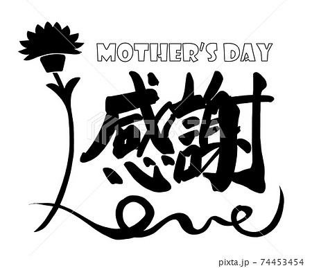筆文字　感謝（カーネーション Love） .n 74453454