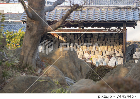 勝竜寺城 勝竜寺城 74454457