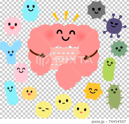 大腸和腸道菌群的特徵 74454507