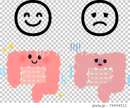 元気な腸、弱った腸と表情のアイコン 元気な腸、弱った腸と表情のアイコン 74454511