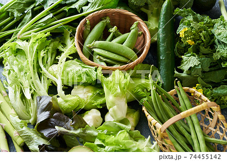 青野菜色々 青野菜色々 74455142