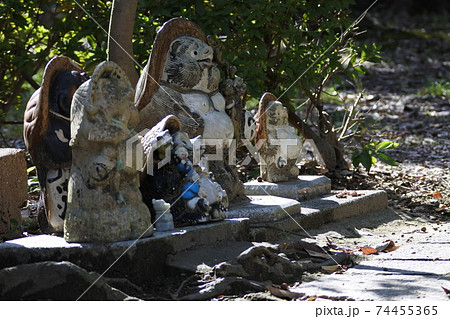 信楽焼の狸の軍団　大小様々な大きさの焼物の狸が公園の脇道に並んでいる。横長の写真。 74455365