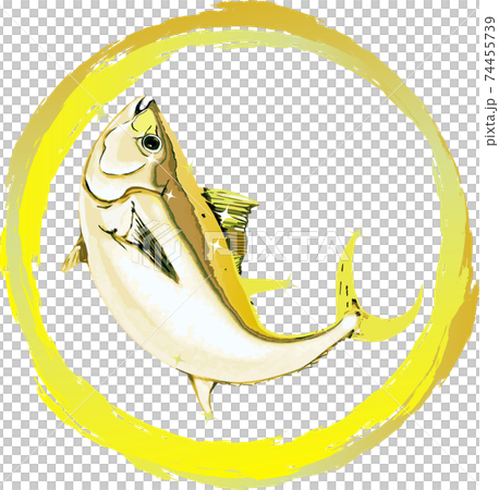 金のおめでたいマグロ 金のおめでたいマグロ 74455739