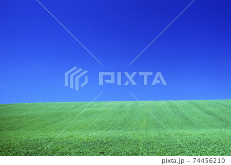 緑の大地 74456210