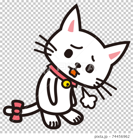 White cat sighing down 74456962