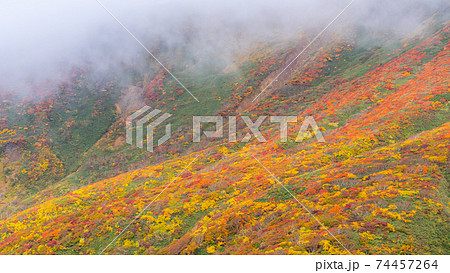 栗駒山　神の絨毯　全山紅葉美　日本一の紅葉の山　日本屈指の絶景 74457264