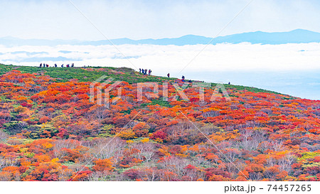 栗駒山 神の絨毯 全山紅葉美 登山客 雲海 栗駒山 神の絨毯 全山紅葉美 登山客 雲海 74457265
