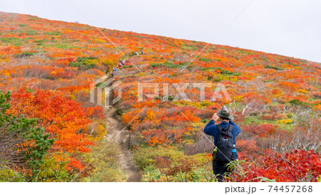 栗駒山　神の絨毯　全山紅葉美　登山客 74457268