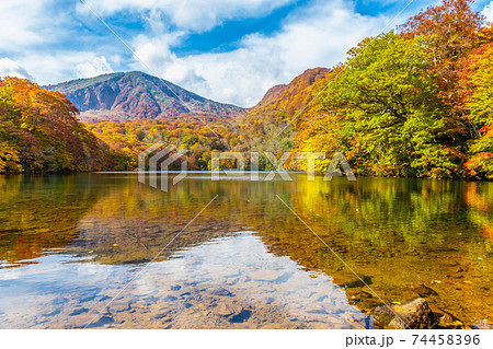 八甲田山の紅葉 透明度の高い水が美しい赤沼 74458396