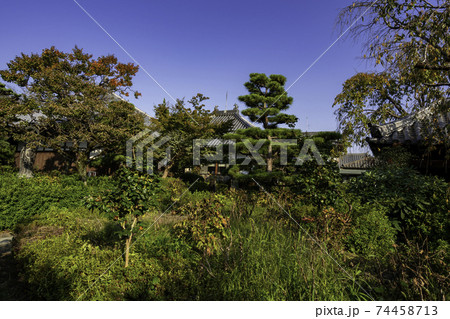 石光寺　境内　奈良県葛城市 74458713