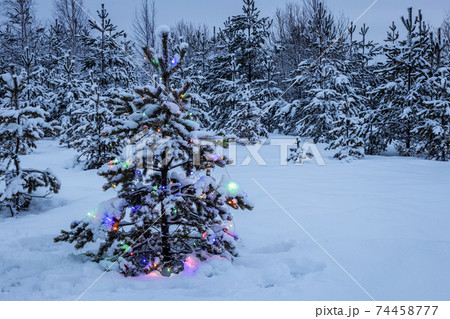 multicolored illumination flashes on the Christmas tree 74458777