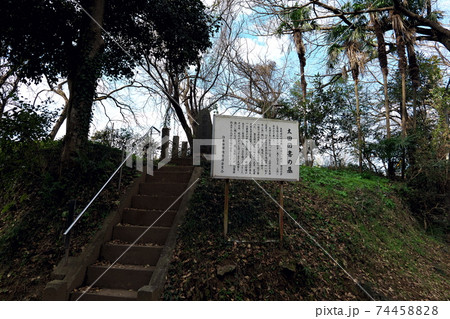 臼井城跡 臼井城跡 74458828