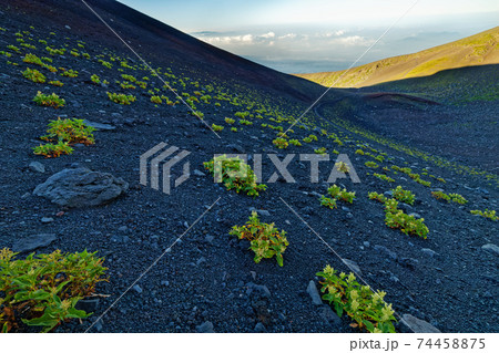 富士山・宝永山から火口底への登山道 74458875